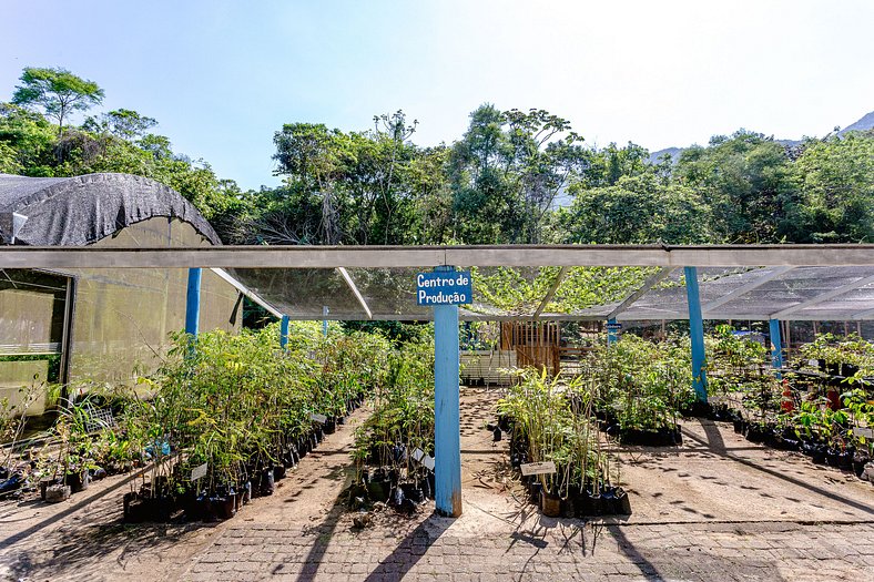 Paraíso com Piscina e Natureza em São Sebastião