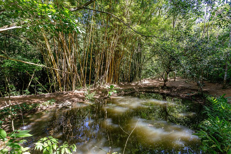 Paraíso com Piscina e Natureza em São Sebastião