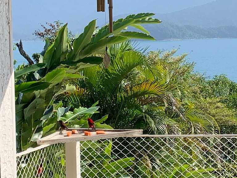 Paraíso em Ubatuba – Casa aconchegante com Vista Incrível